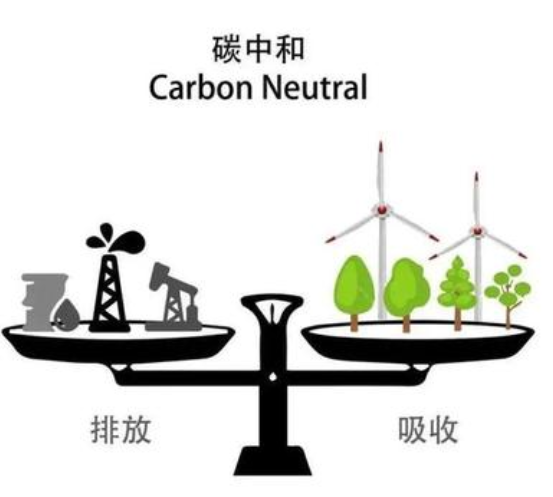 为什么说应对气候变化也是保护生物多样性？